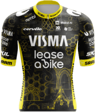 Team Visma | Lease a Bike race jersey